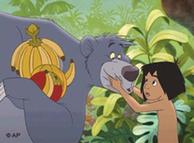 The Junglebook, one of the most famous Walt-Disney films
