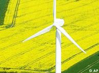 A wind mill near a rapeseed field near Germany's Baltic Sea coast