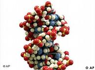 A DNA molecule model