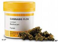Cannabis para fins medicinais, comercializada pelas farmácias holandesas